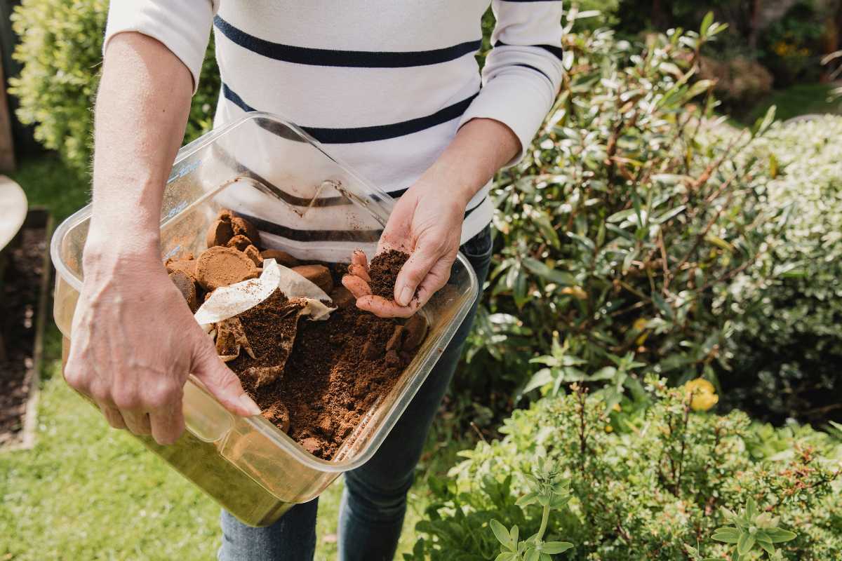 A person wearing a striped shirt and jeans is holding a transparent container filled with compost in a garden. They are using one hand to scoop out the compost.