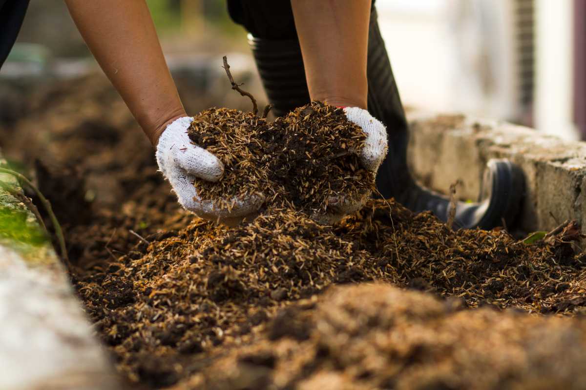 A person’s hands wearing white gloves and holding soil mixed with organic material.