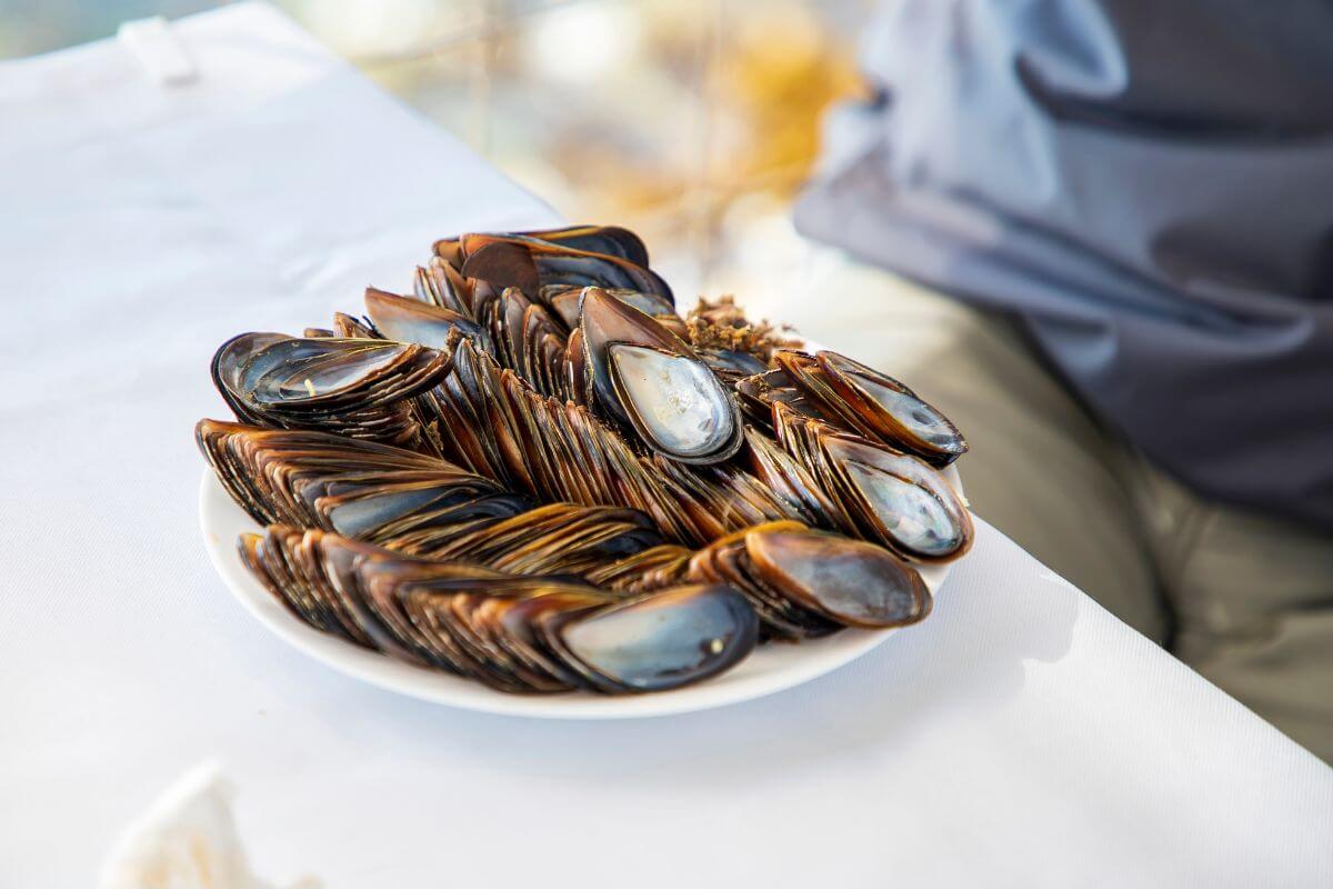 A white plate with empty clam shells sits on a white tablecloth.