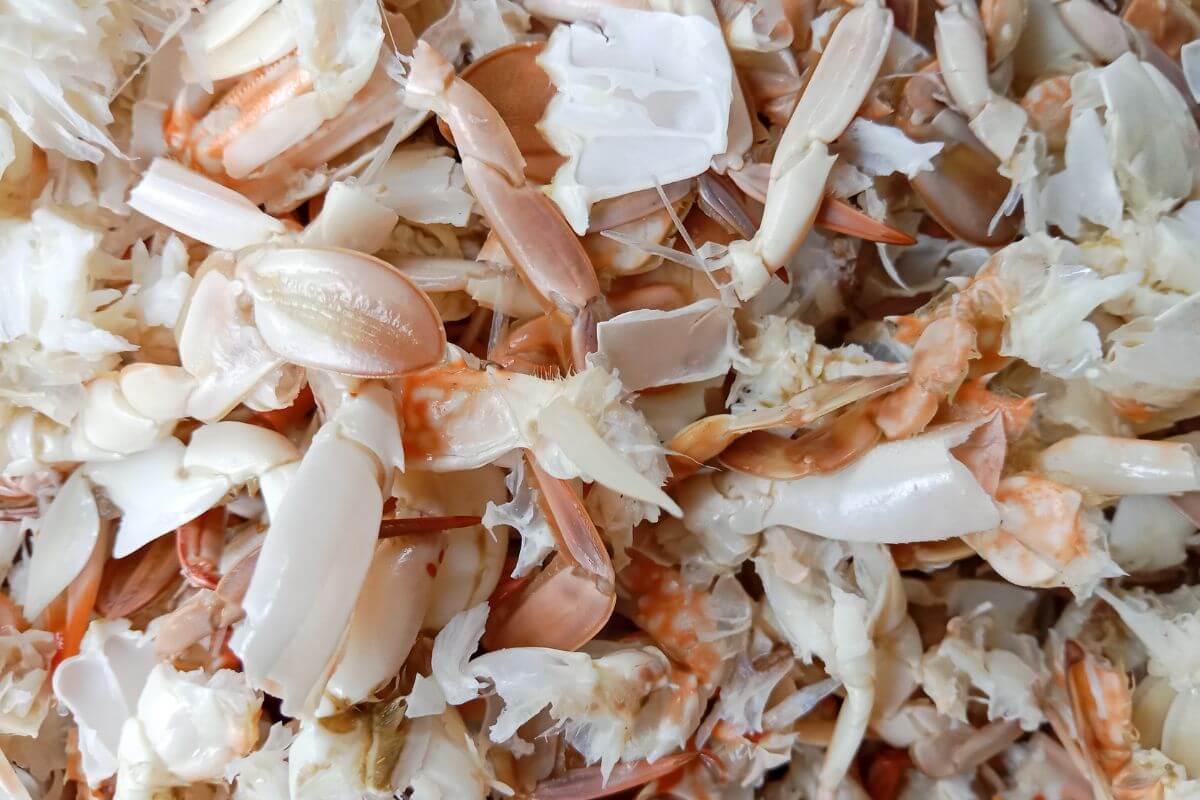 A close-up image showing a pile of crab shells and claws in various shades of white, pink, and orange.