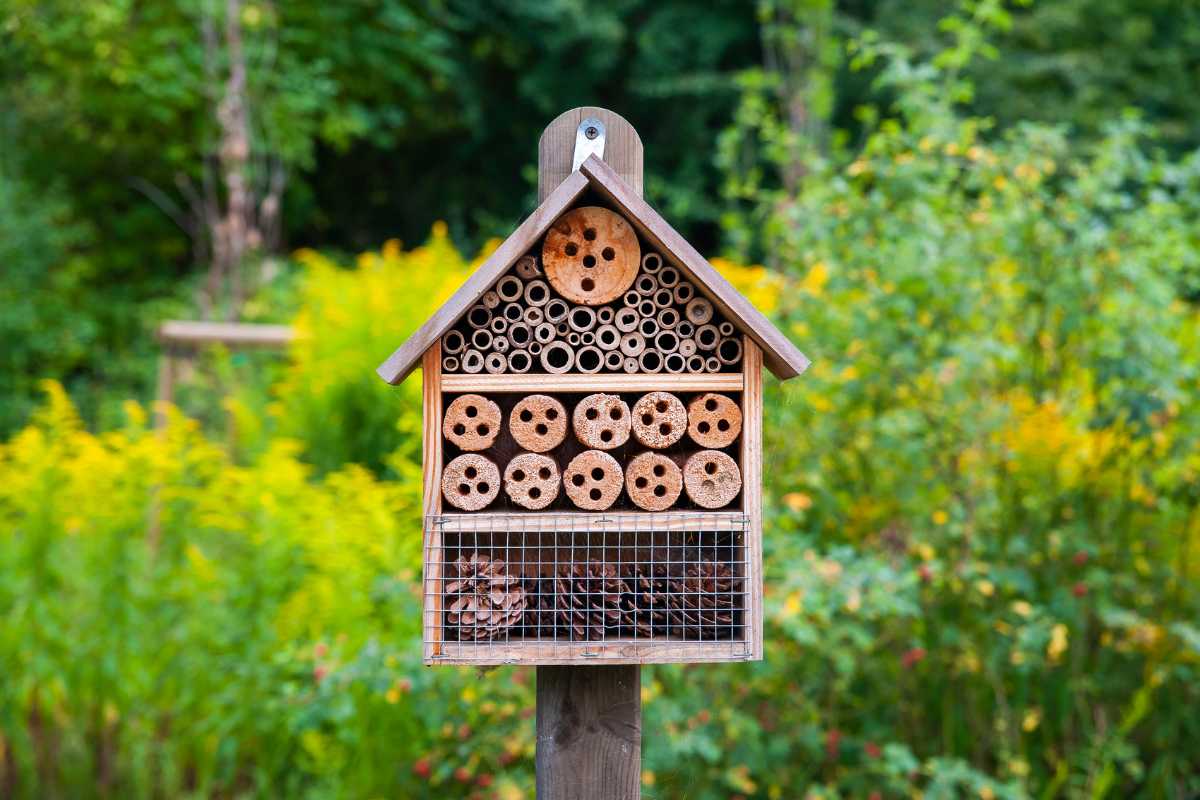 A beneficial insect house made of wood stands in a garden filled with lush green plants and yellow flowers. 