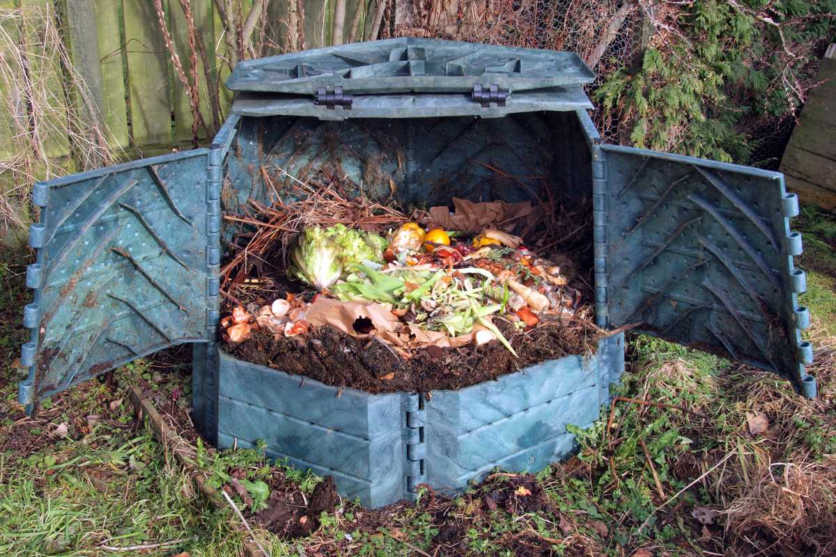 A green compost bin is open, revealing a pile of decomposing organic matter, including vegetable scraps, fruit peels, and other garden waste. 