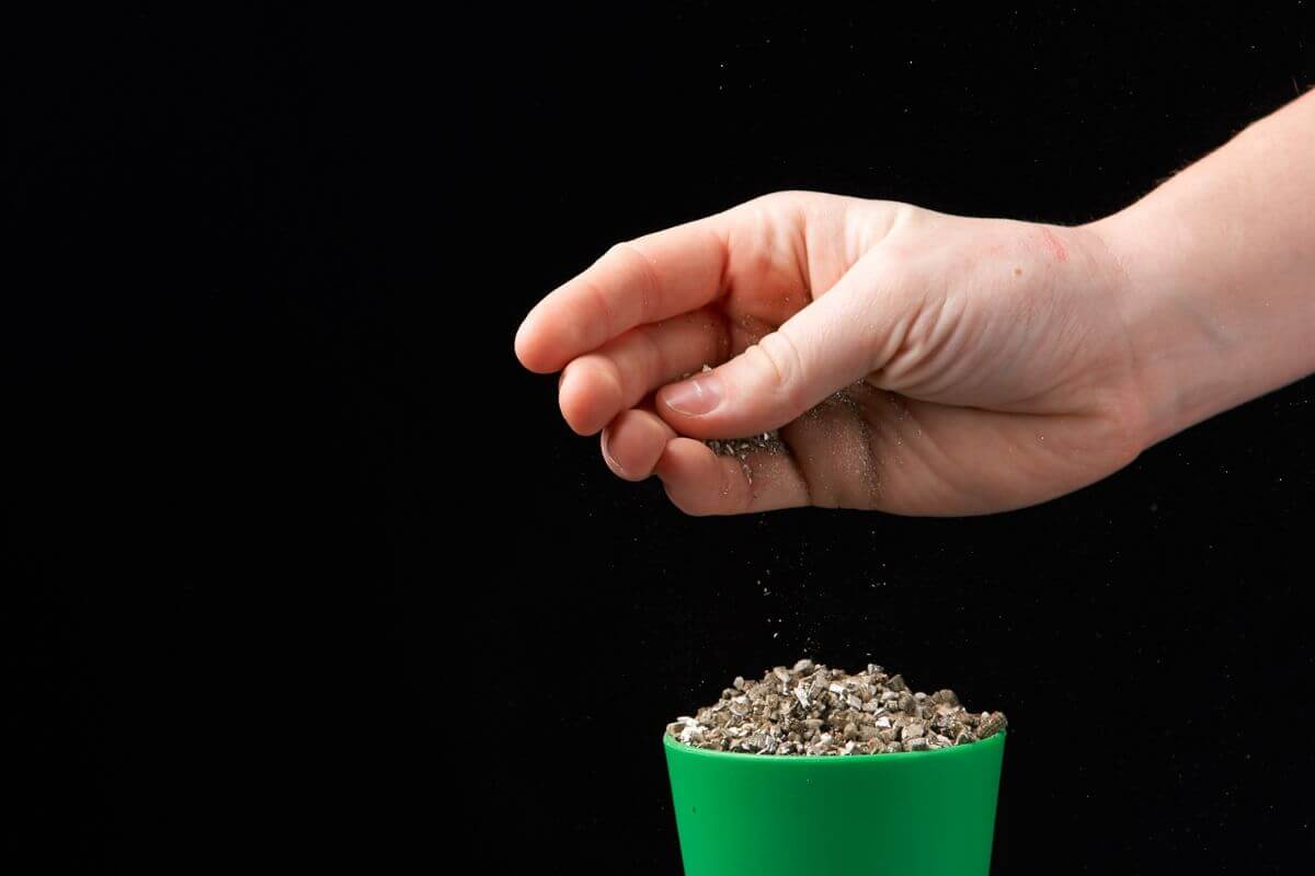 A hand is shown sprinkling a handful of small hydroponic vermiculite into a green pot against a black background.