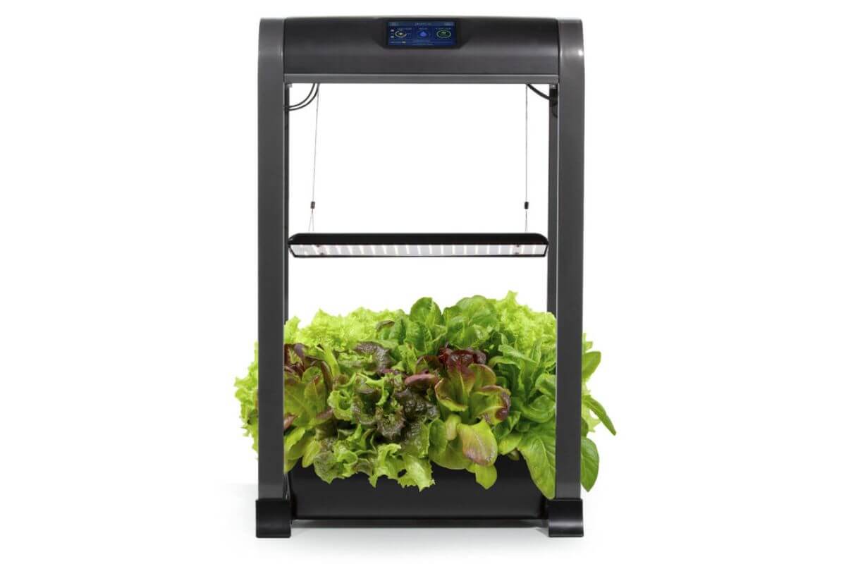 A black, rectangular indoor hydroponic grow system with a LED grow light panel on top, featuring a lush assortment of green and red leafy vegetables growing in the base.