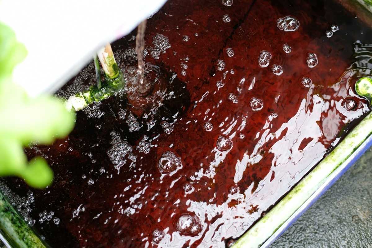 A close-up view of red, bubbly liquid inside a container, with water flowing into it from a pipe. Green plants are partially visible at the top left corner.