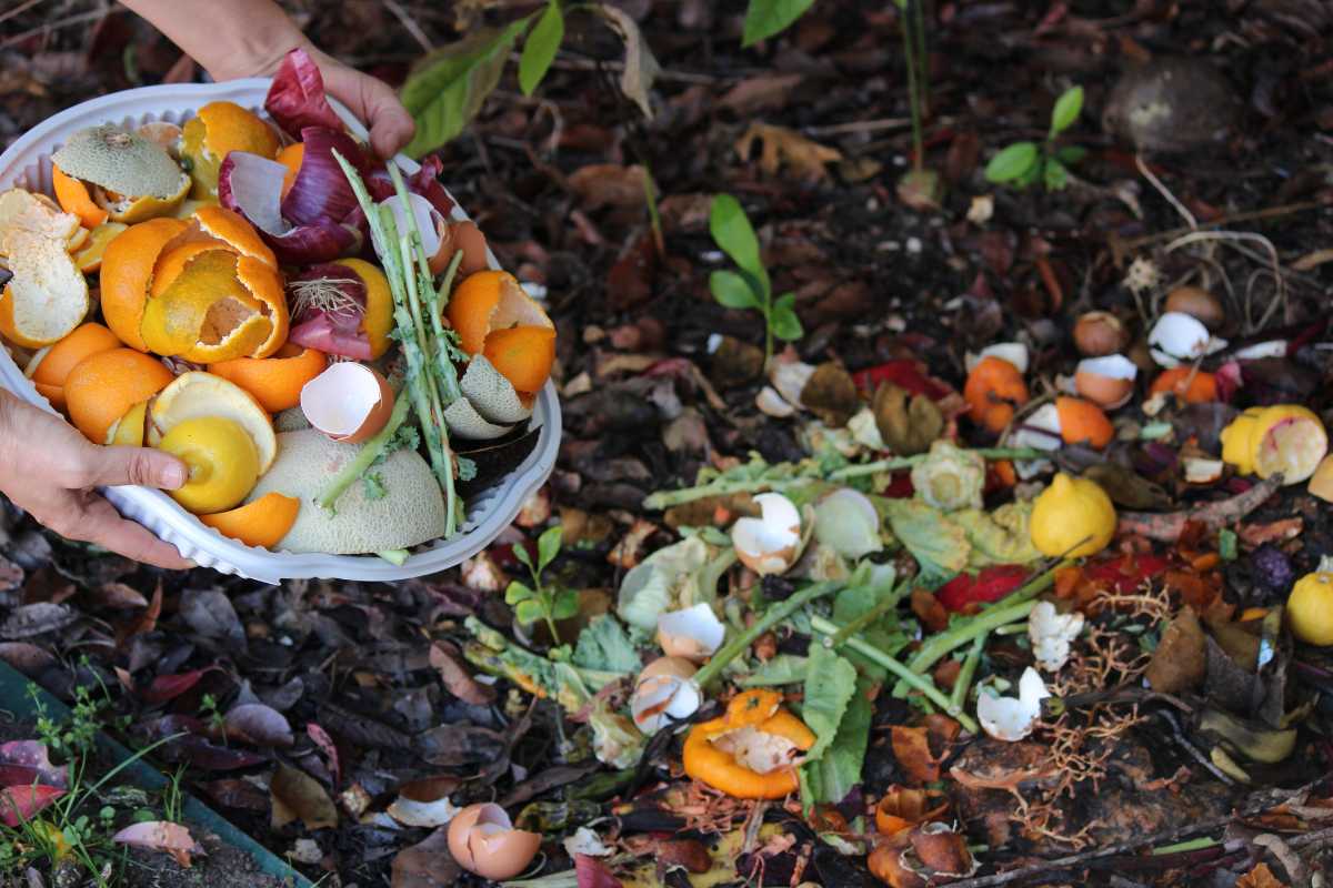 A person holds a bowl filled with compostable kitchen scraps, including orange peels, melon rinds, and eggshells. The contents are being added to an outdoor compost pile on the ground.