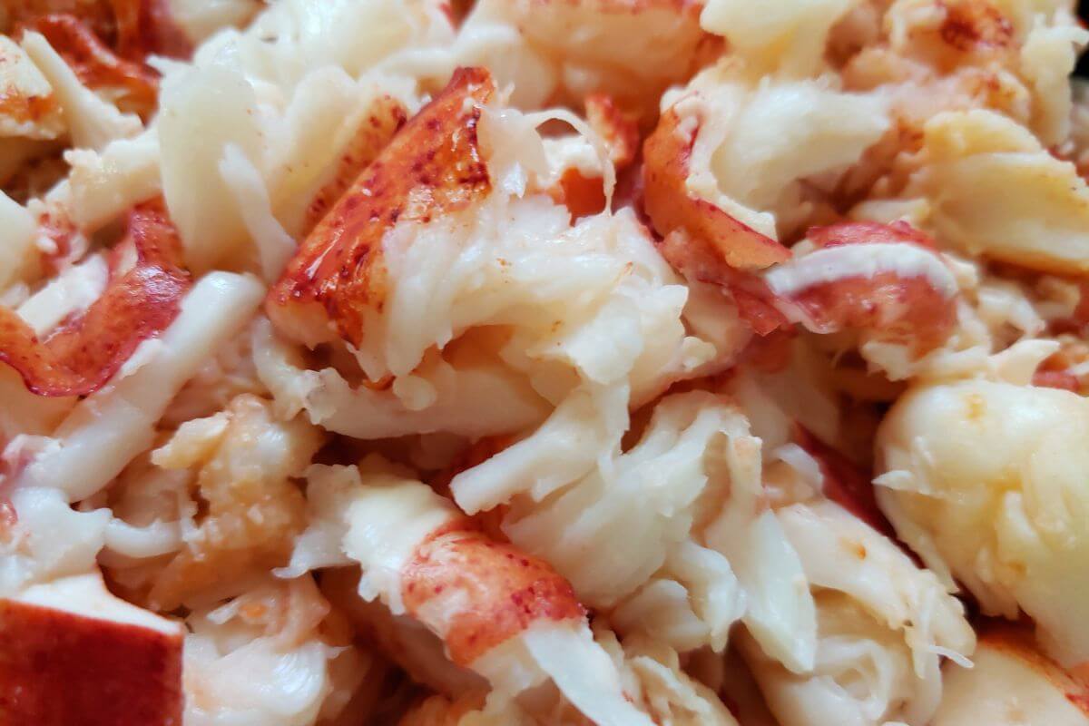 Close-up of a heap of cooked lobster meat.