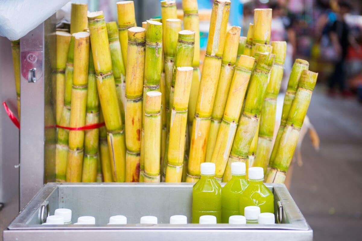 A stall with fresh sugarcane stalks bundled together and several plastic bottles filled with green sugarcane juice, displayed in a silver tray at a market.