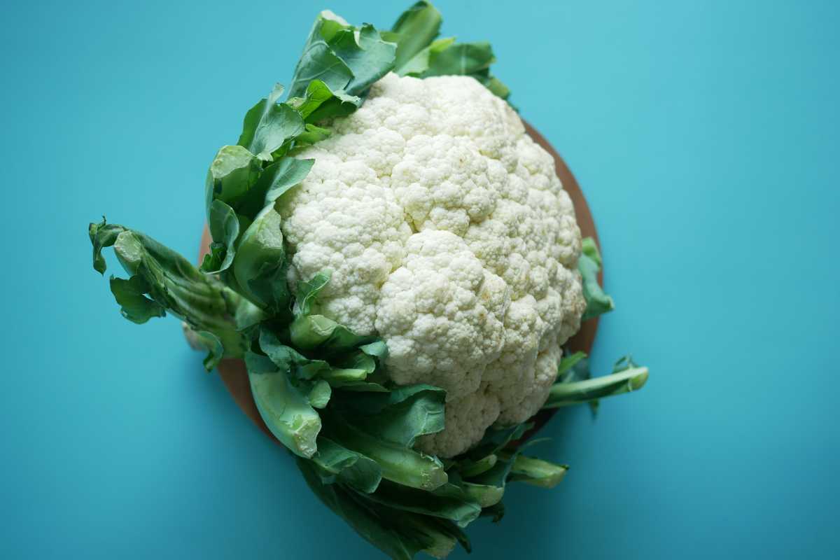 A head of fresh cauliflower with green leaves placed on a turquoise background.