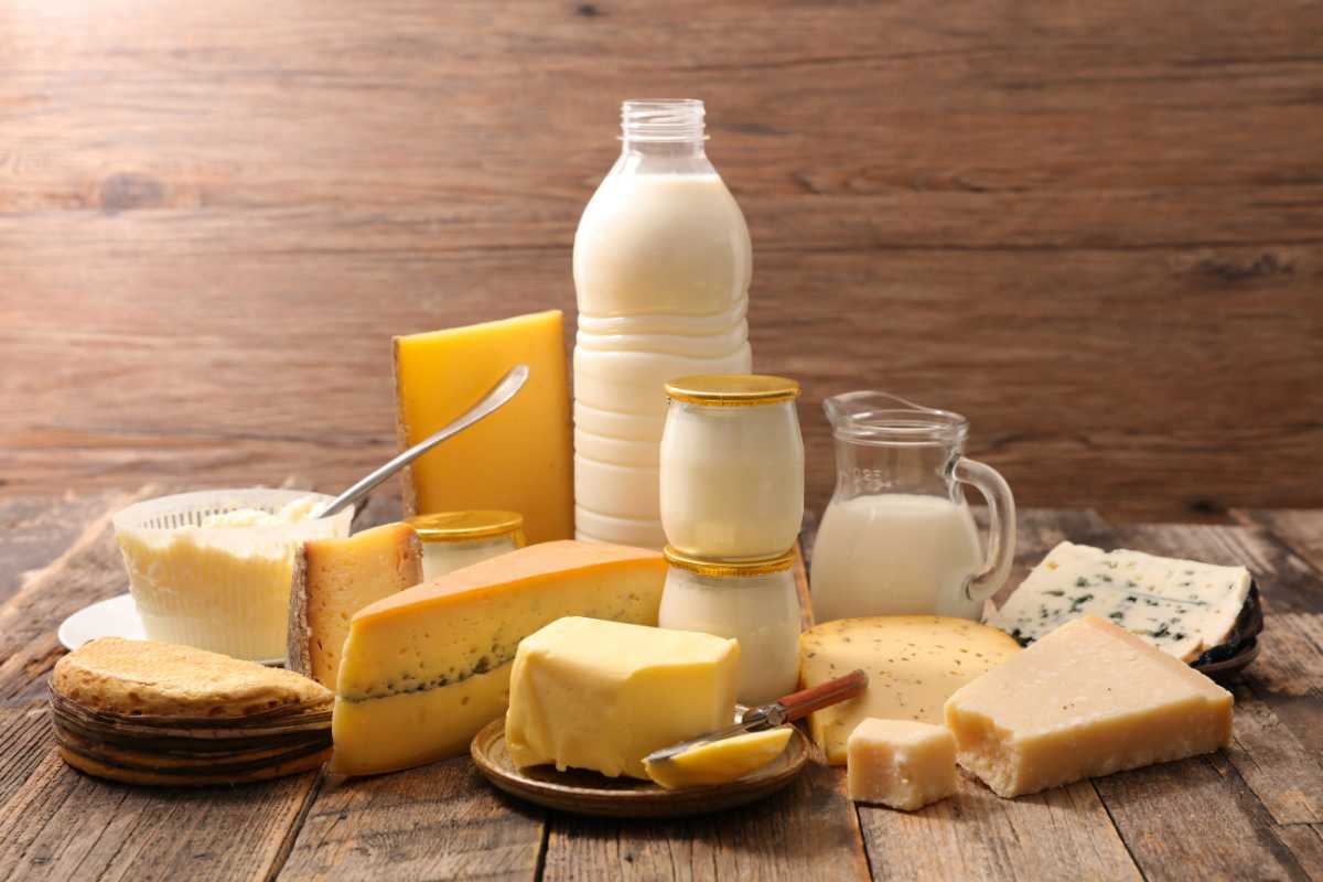 A variety of dairy products are arranged on a rustic wooden table. The items include a bottle of milk, a pitcher of milk, several wedges of cheese, jars of yogurt, a butter dish with butter, a cheese knife, and a stack of crackers.