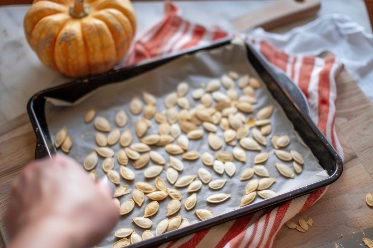 A tray lined with paper holds pumpkin seeds spread out evenly. A hand is visible in the foreground, diligently arranging the pumpkin seeds.