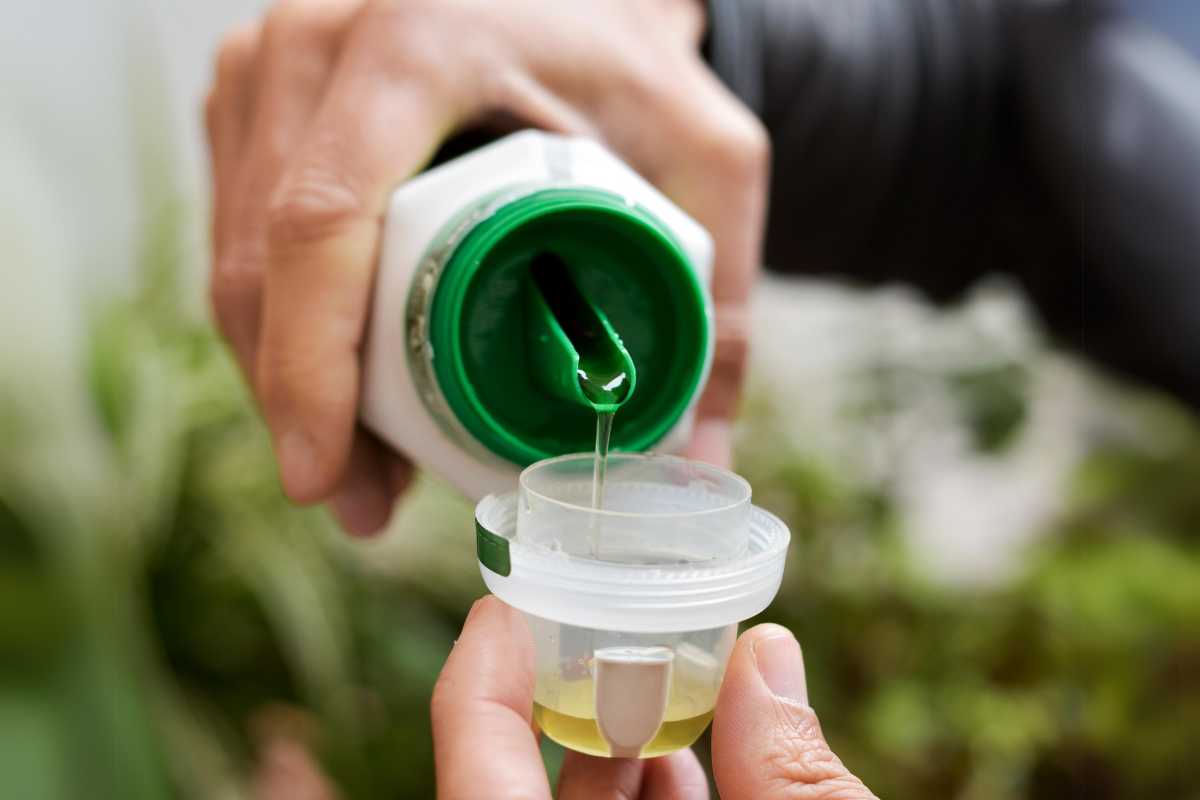 A person pouring liquid fertilizer from a green-topped bottle into a small transparent measuring cup.