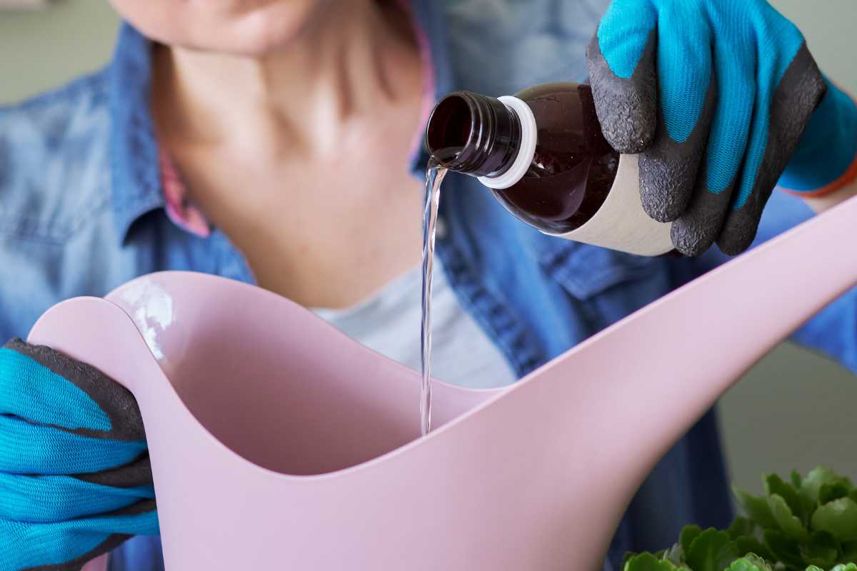 A person wearing blue gloves is pouring liquid fertilizer from a brown bottle into a pink watering can. 