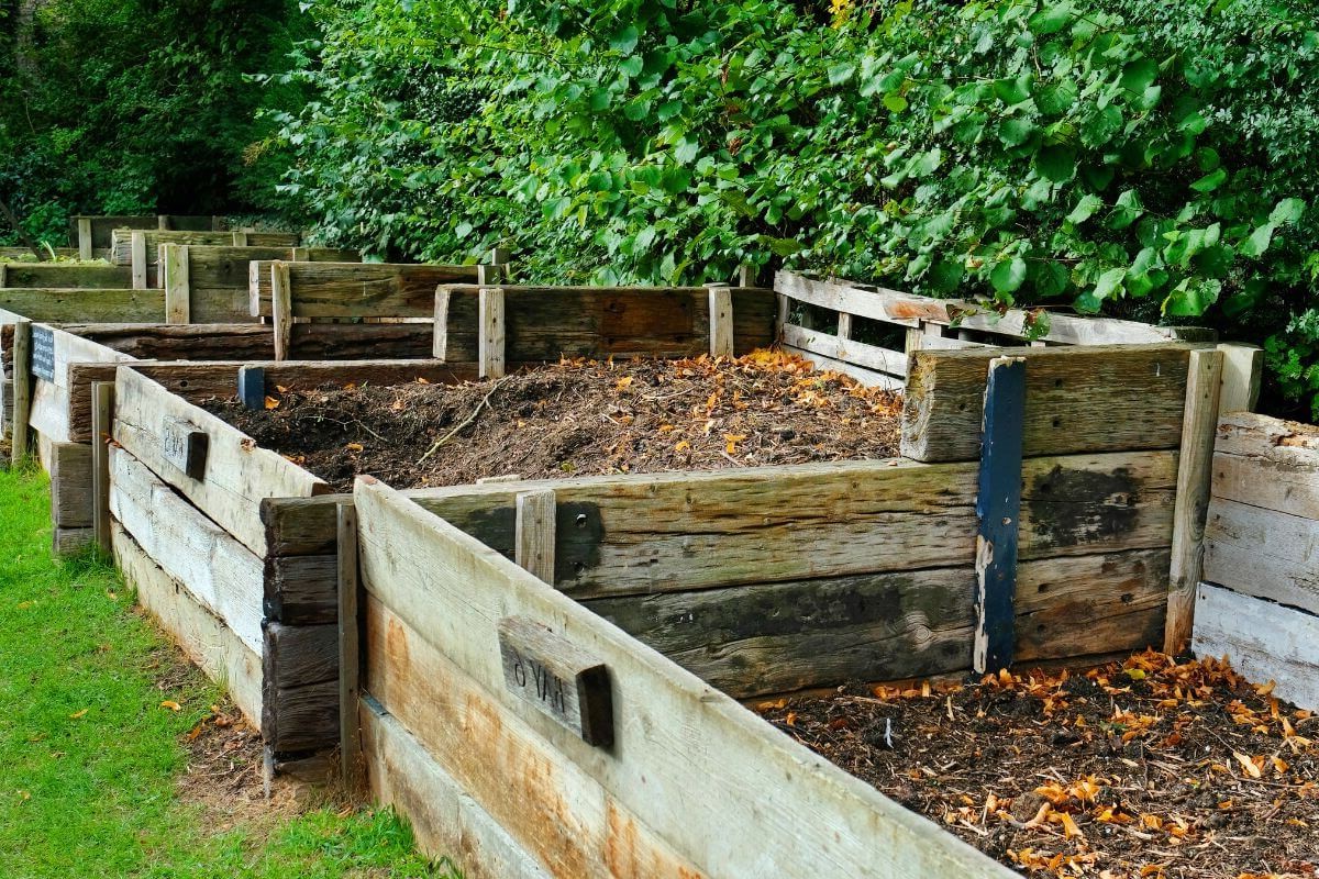 A series of large, wooden compost bins filled with soil and leaves are arranged in a row outdoors - a perfect example on why is gardening good for the environment.