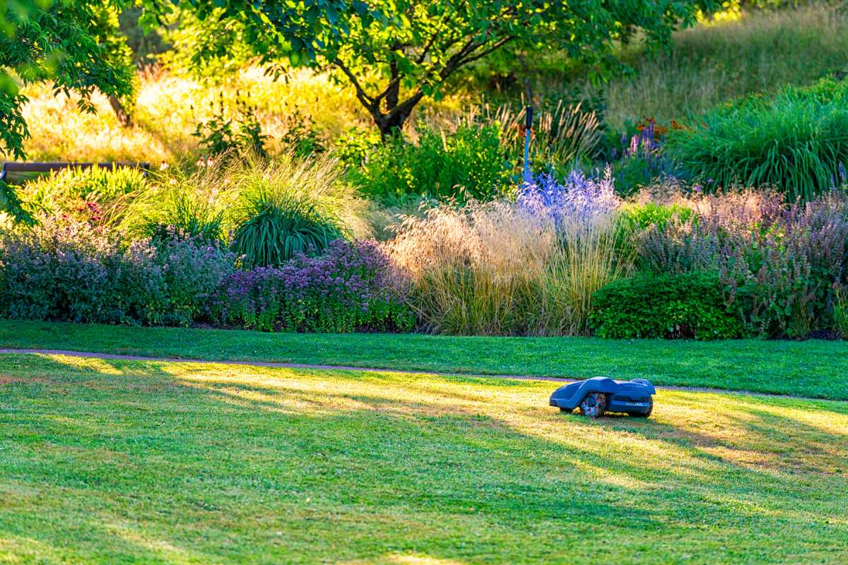 A black robotic lawn mower, considered the best robot lawn mower by many, moves across a sunlit green lawn in a garden. 