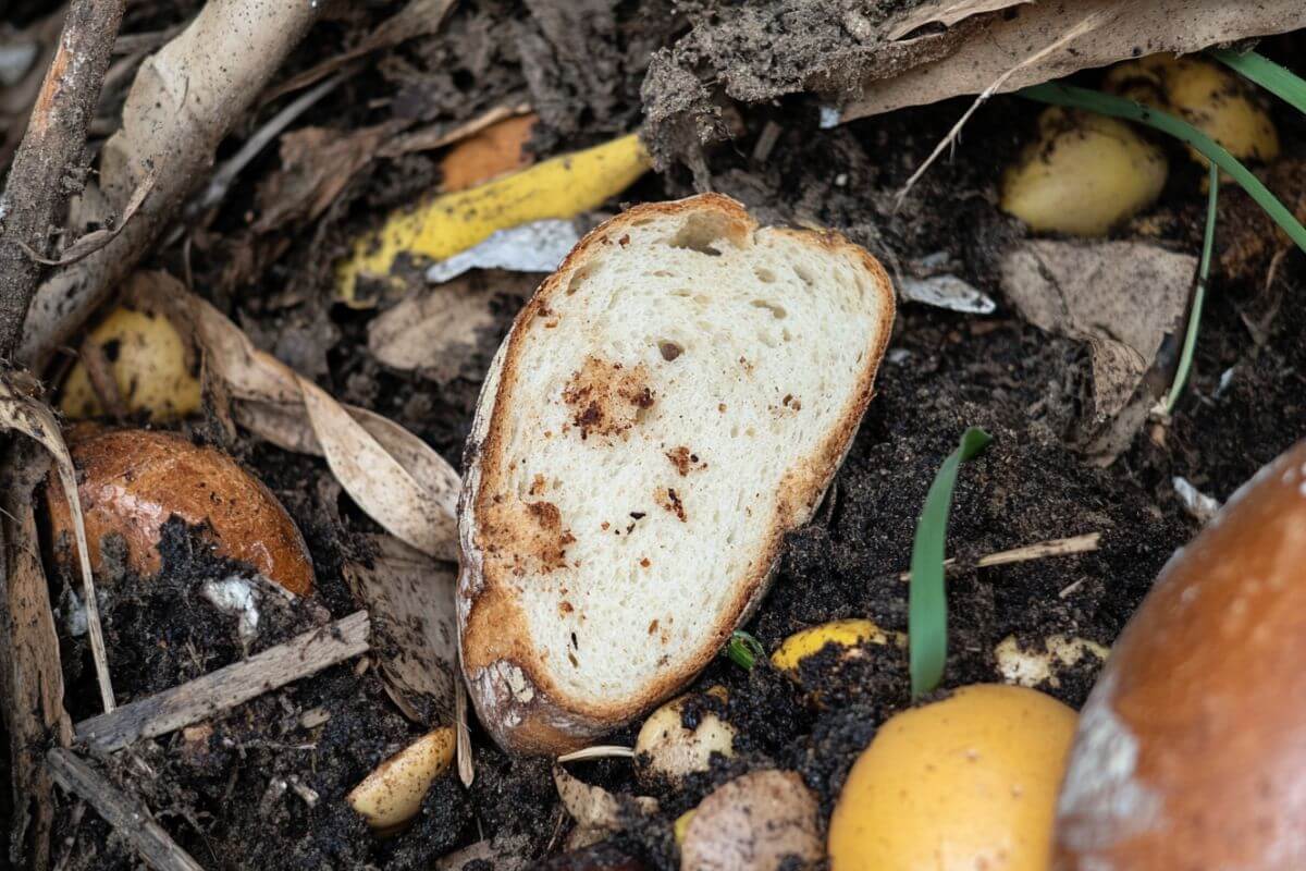 A slice of bread, partially covered in dirt, lies amidst decomposing organic debris including brown leaves, peels, and small yellow objects, against a soil background.