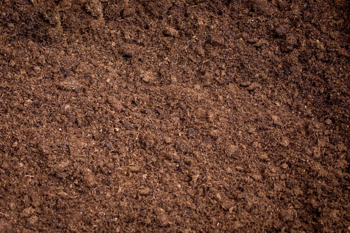 Close-up of rich, dark brown peat soil with a crumbly, slightly moist texture, ideal for gardening or planting.