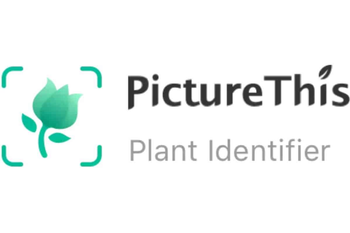 Picturethis Logo