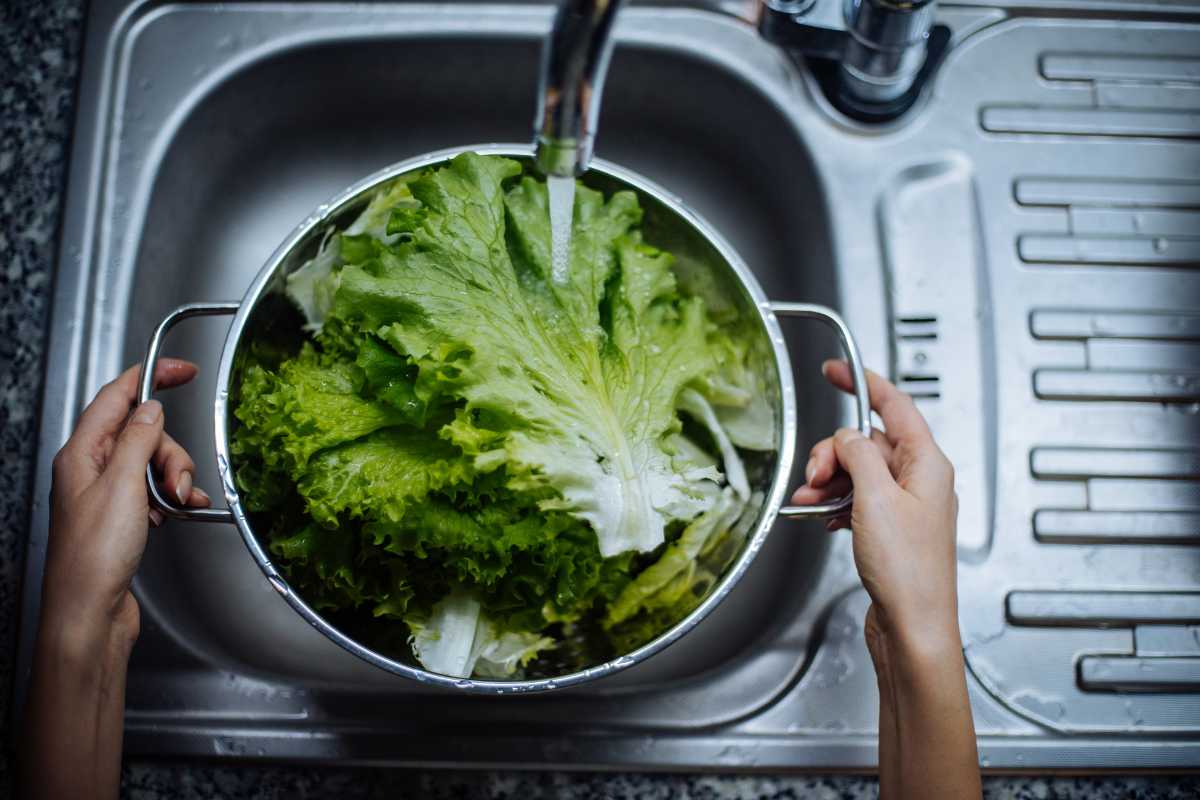 A person holding a colander full of fresh green lettuce under a running kitchen faucet, rinsing the leaves. 