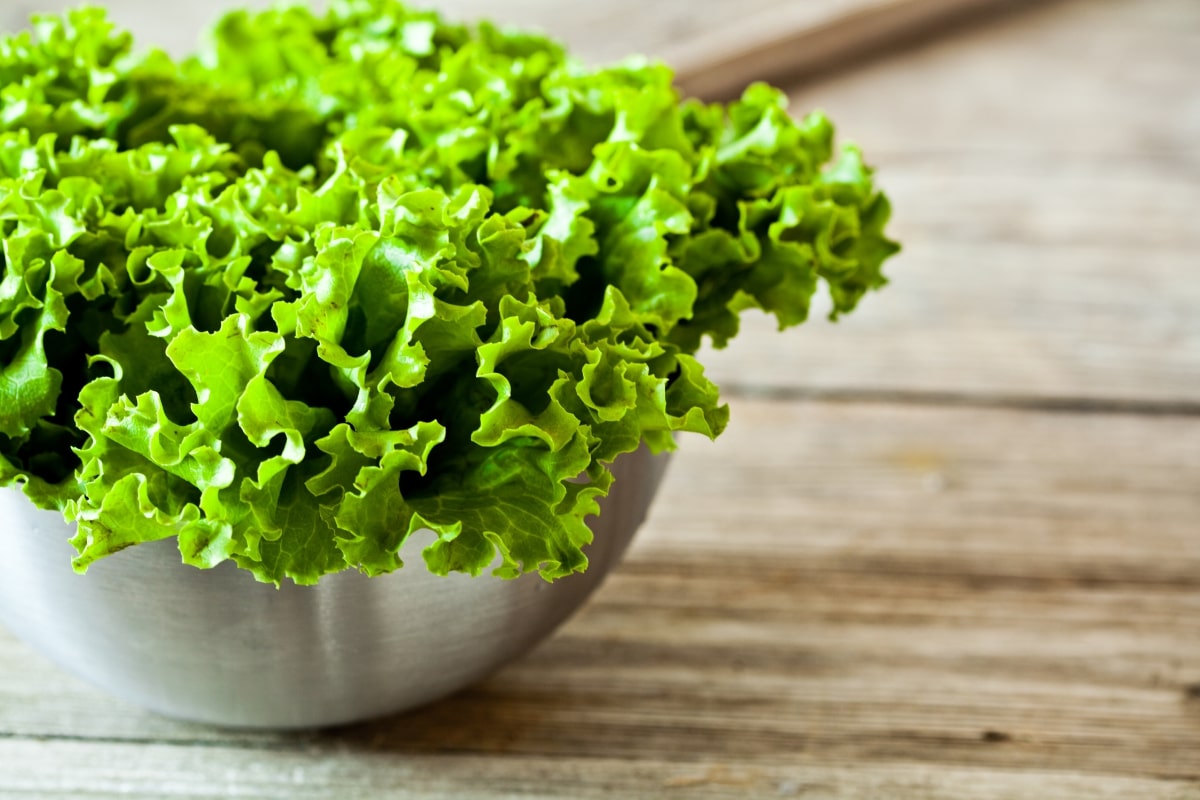 A fresh bunch of green leafy lettuce sits in a stainless steel bowl on a rustic wooden surface. 