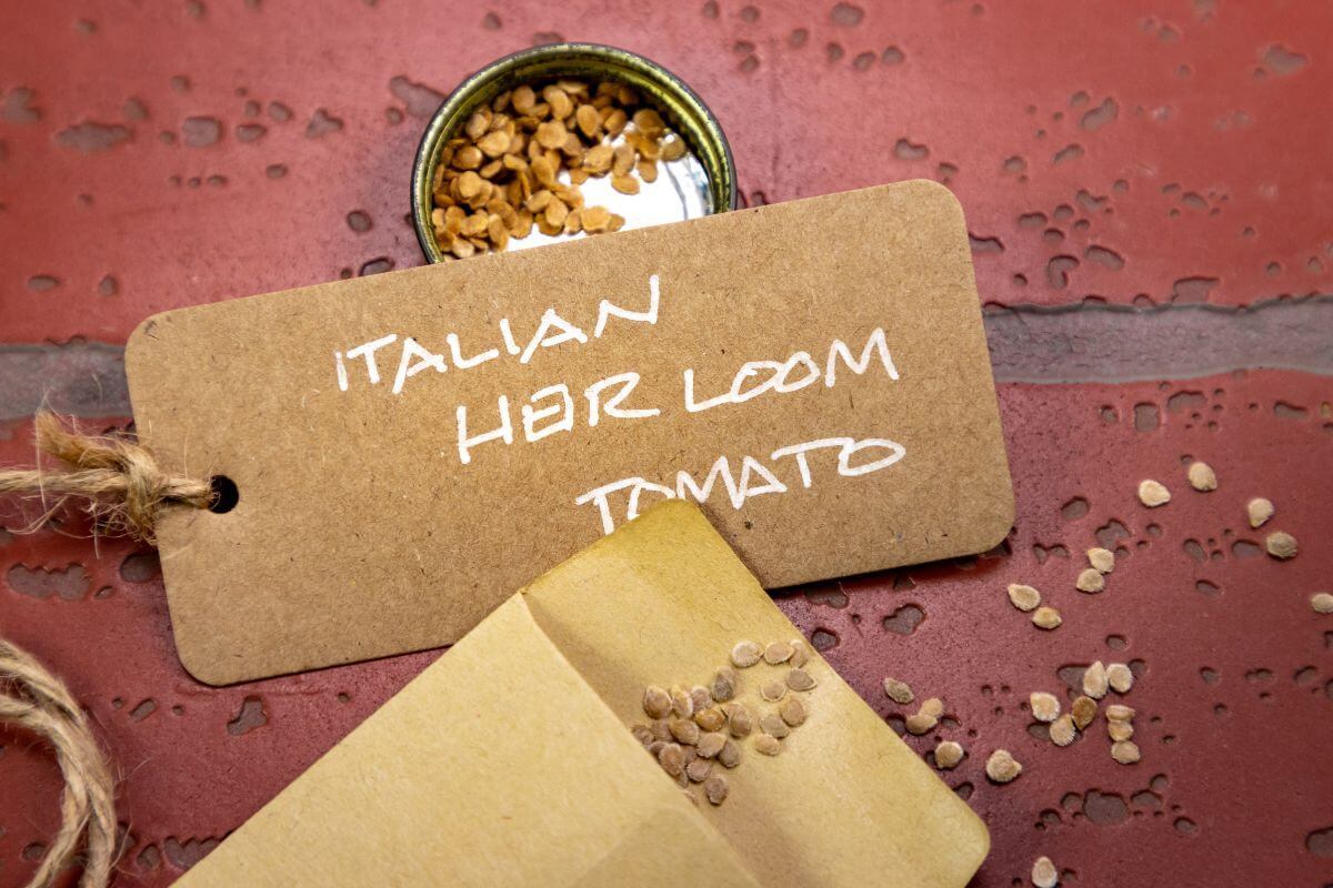 A close-up photo of a labeled tag reading "Italian Heirloom Tomato" alongside a small open container and a paper packet spilling tomato seeds onto a red textured surface. 