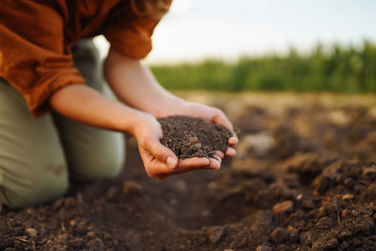 A person kneels on the ground while holding a handful of soil over a tilled field, reflecting on the benefits of compost. 