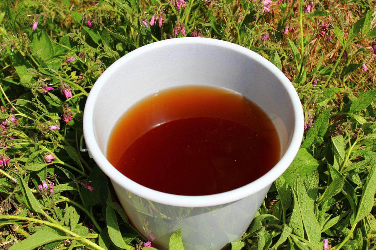 A white bucket filled with dark brown compost tea is placed on a bed of green leaves and grass with small pink flowers scattered around.