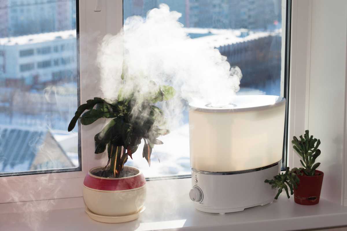 A humidifier emitting steam sits on a windowsill between two potted plants, enhancing their growth. 