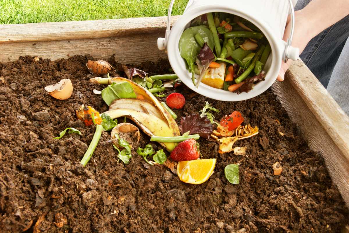 A person pours a small white container of food scraps including banana peels, strawberries, orange peels, and vegetable trimmings onto a compost pile in a wooden box.