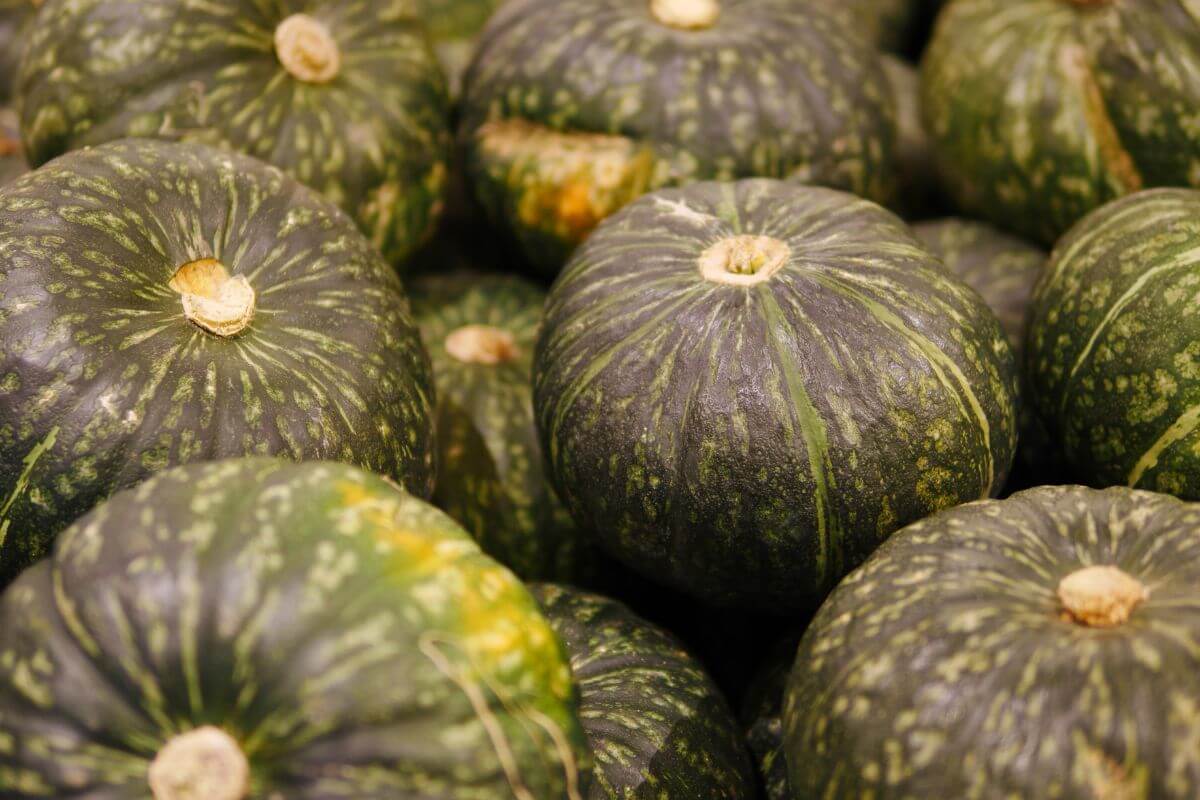 Several green kabocha squash, also known as Japanese pumpkins, with a distinctive round shape and ridged surface, are piled together.