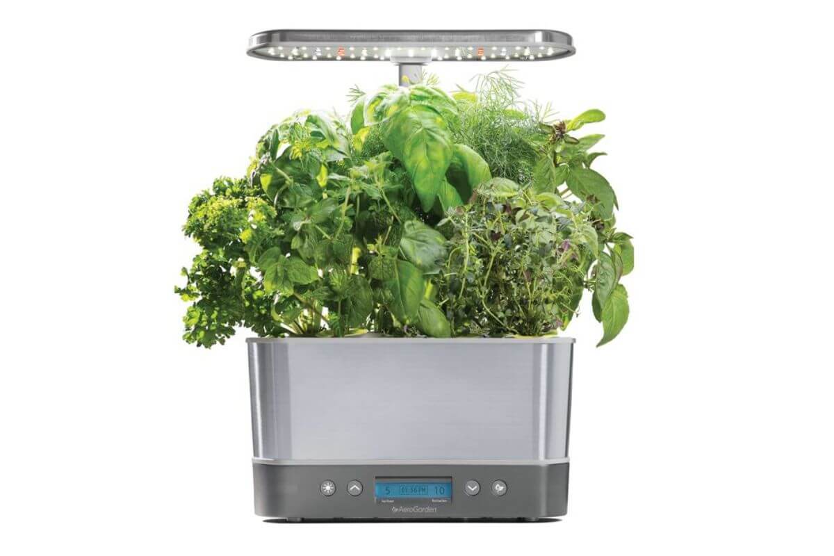A modern indoor hydroponic garden with various green herbs growing under an LED grow light.
