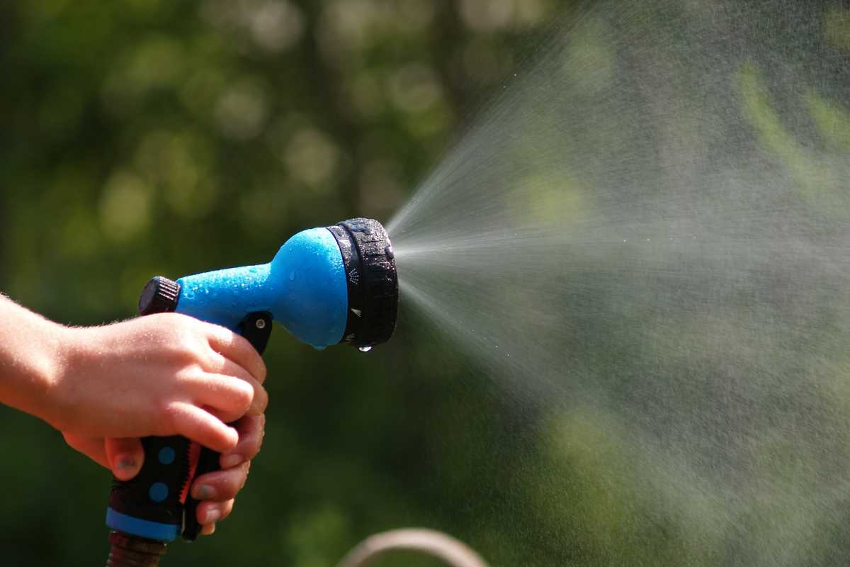 A hand of a person holding a garden hose blasting water on plants with ants.