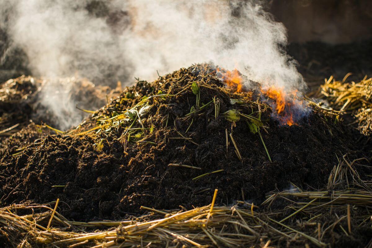 A pile of composting organic material emits steam and flames, showing that it can get too hot.