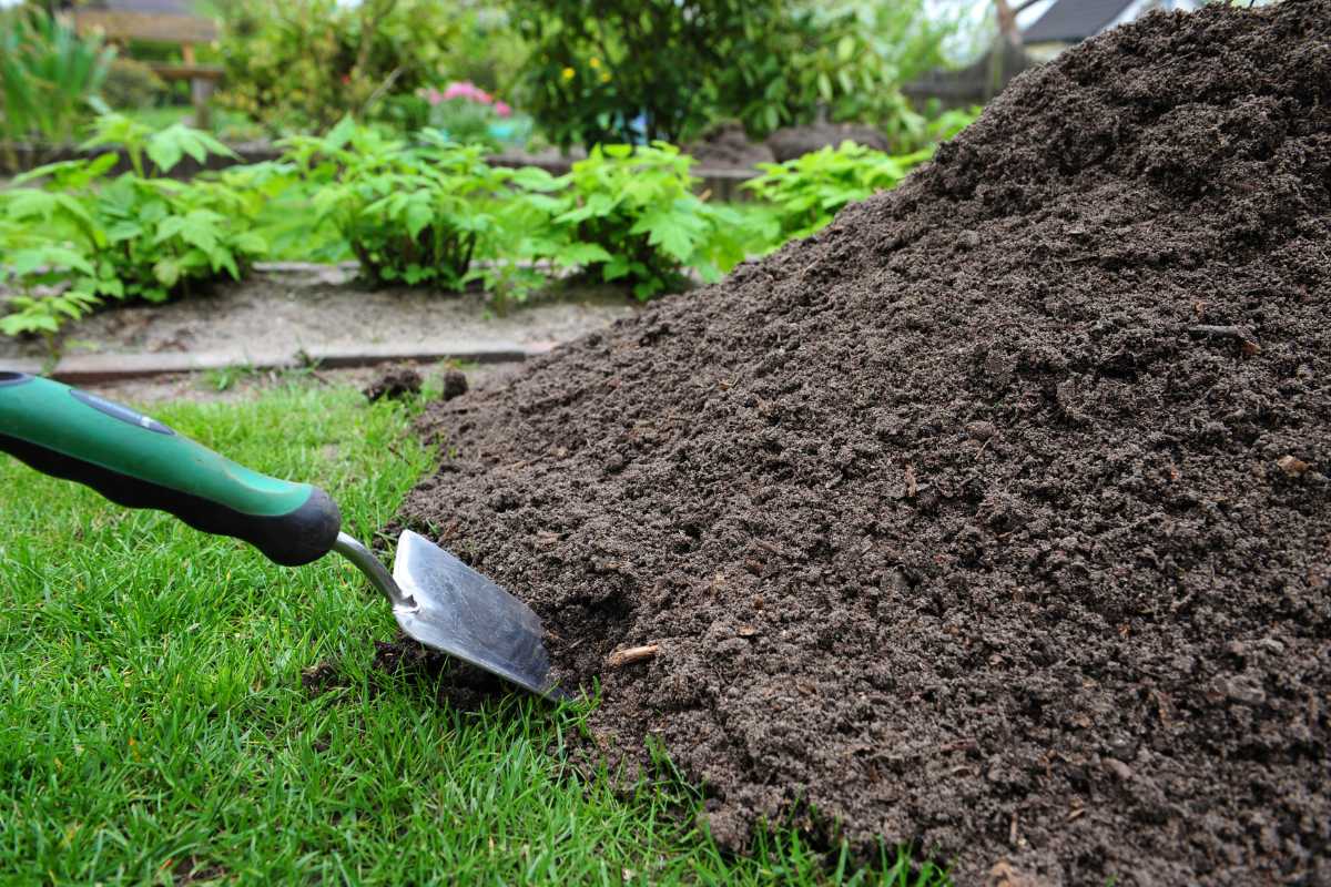 A shovel with a green handle is leaning against a large pile of mixture of topsoil and compost on a grassy lawn. 