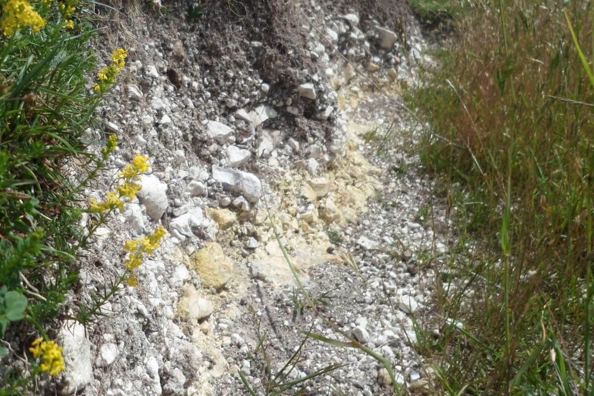 A rocky dirt path with small white stones and patches of grass winds through chalky soil.