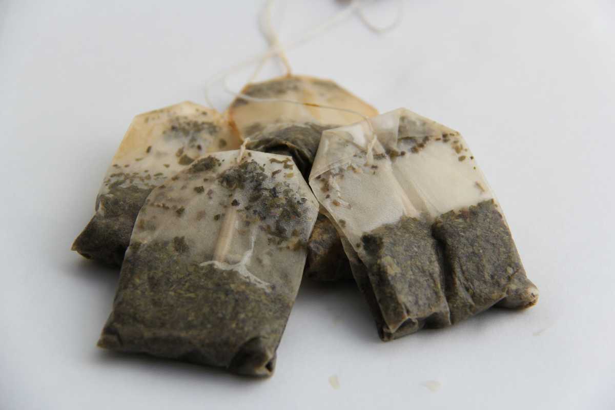 Four used tea bags, stained brown with moist tea leaves visible through the translucent material. 