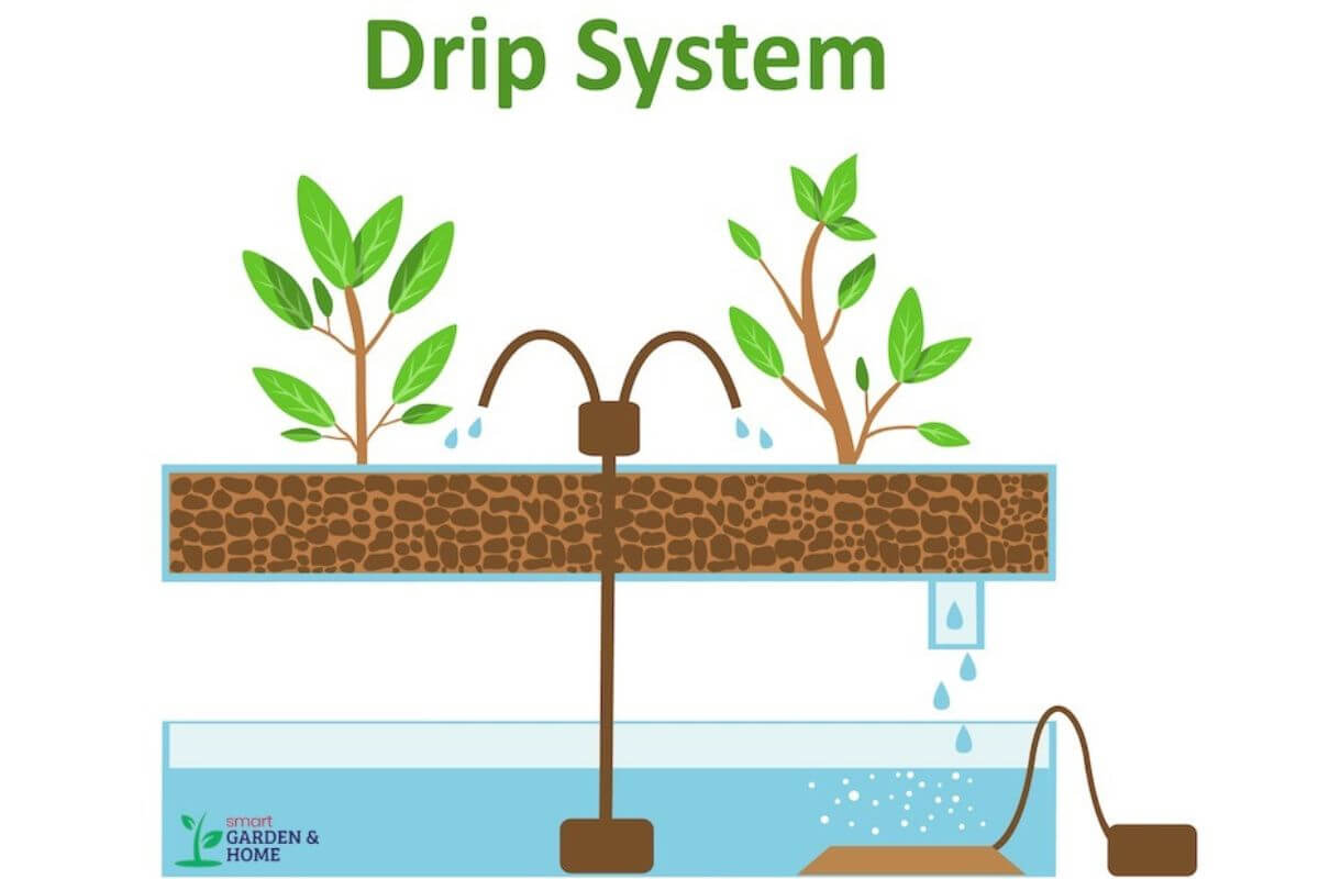 A diagram of a drip irrigation system shows water being delivered directly to the soil near plant roots in a planter box, perfectly showcasing what is hydroponics.