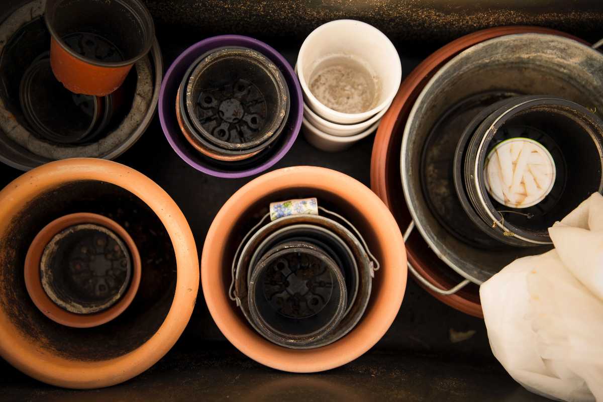 A top-down view of various sized plant pots arranged in circles inside a larger container. 