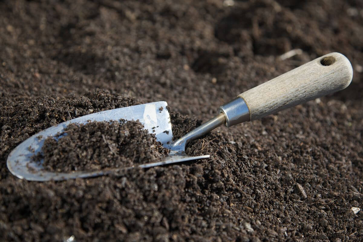 A small gardening trowel with a wooden handle is partially buried in dark, rich soil. 