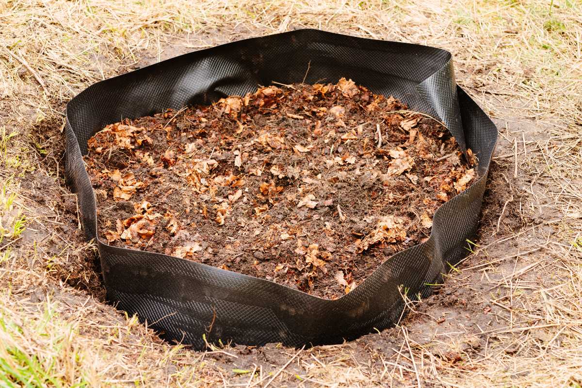 A garden bed with a black fabric border and filled with leaf molds.