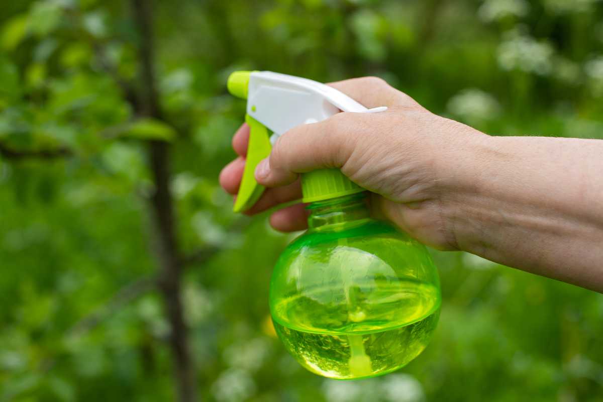 A hand holding a small, round, green fertilizer spray bottle with a white and green trigger nozzle, aimed at outdoor plants.