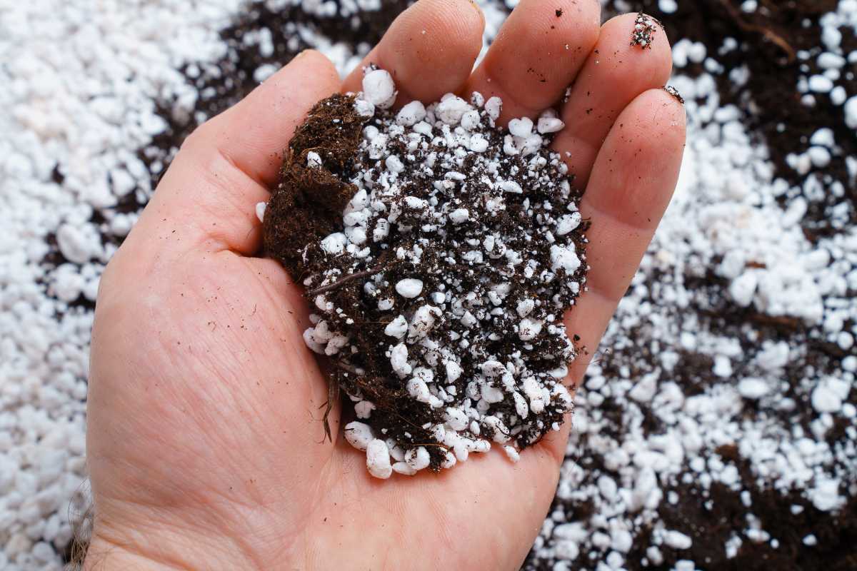 A person's hand holding a mix of soil and white perlite. The background shows more of the same soil-perlite mixture.