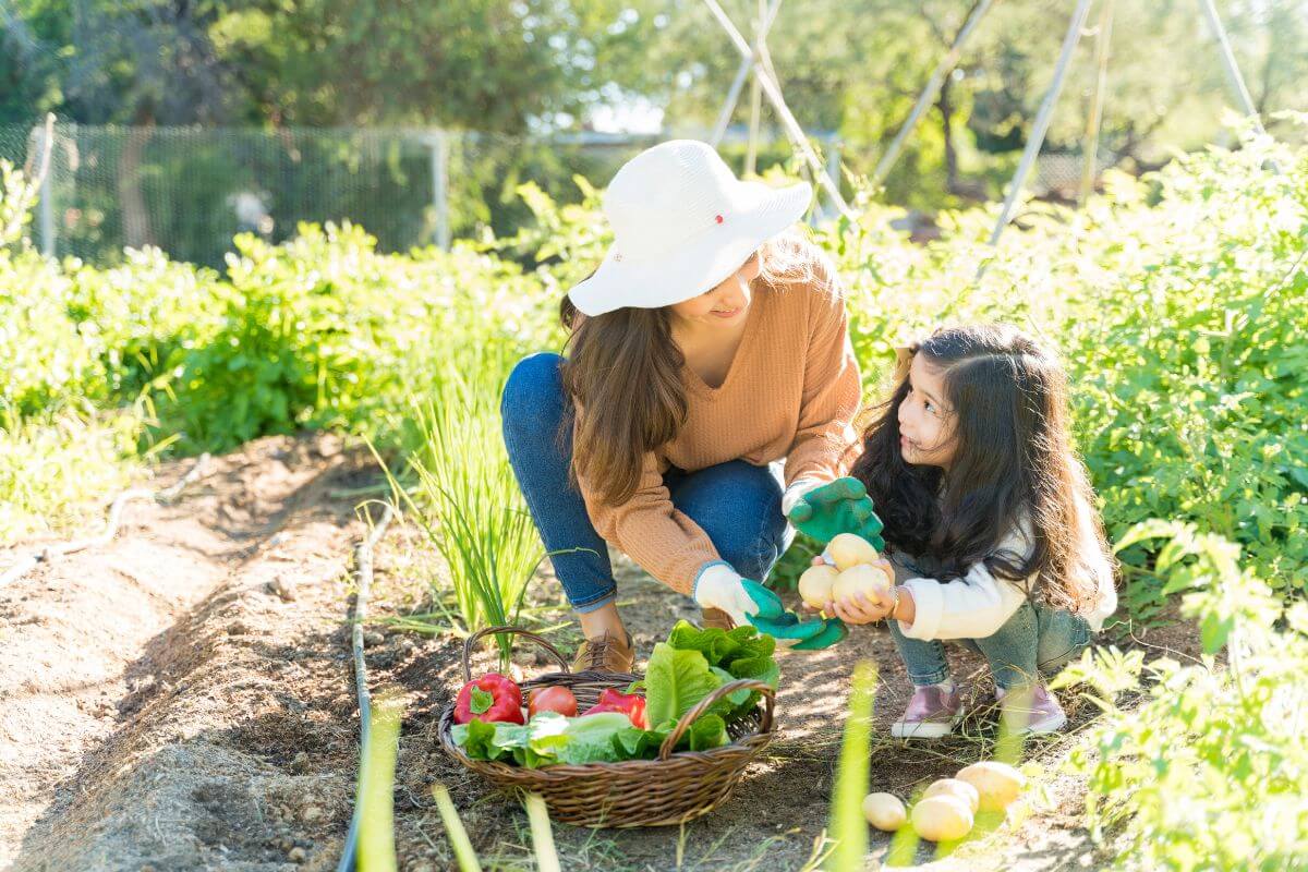 Mother and daughter happily harvesting fresh vegetables together in a lush garden.