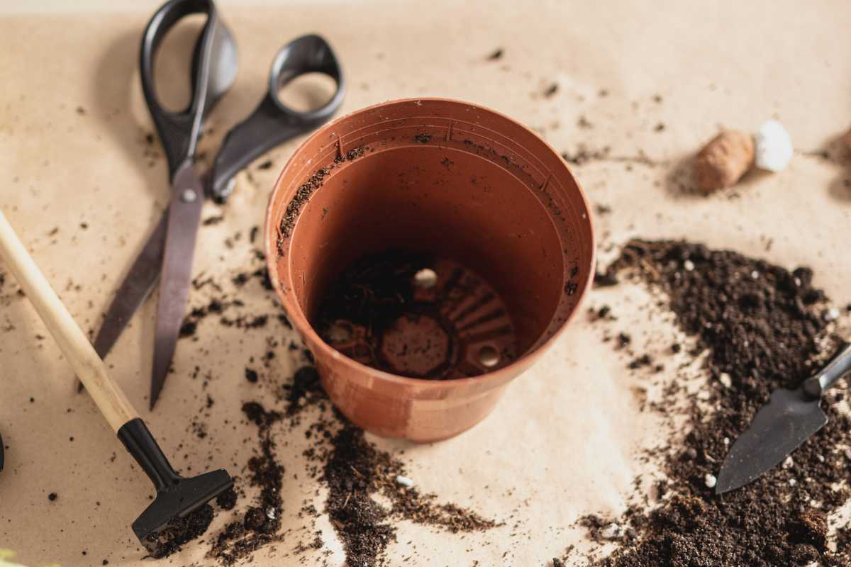 A brown plastic plant pot sits on a beige surface surrounded by scattered soil. 