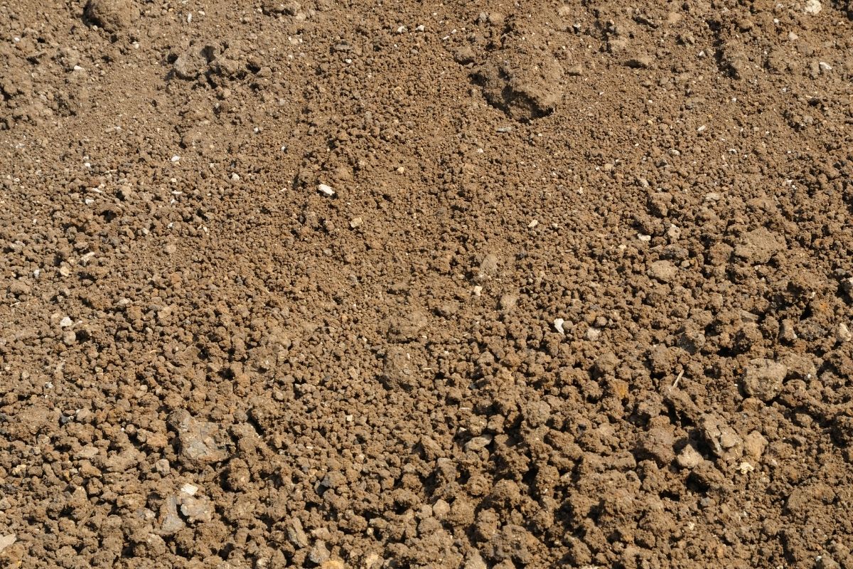 Dry, brown silt soil with a rough and uneven texture with small clumps and fine granules visible throughout.