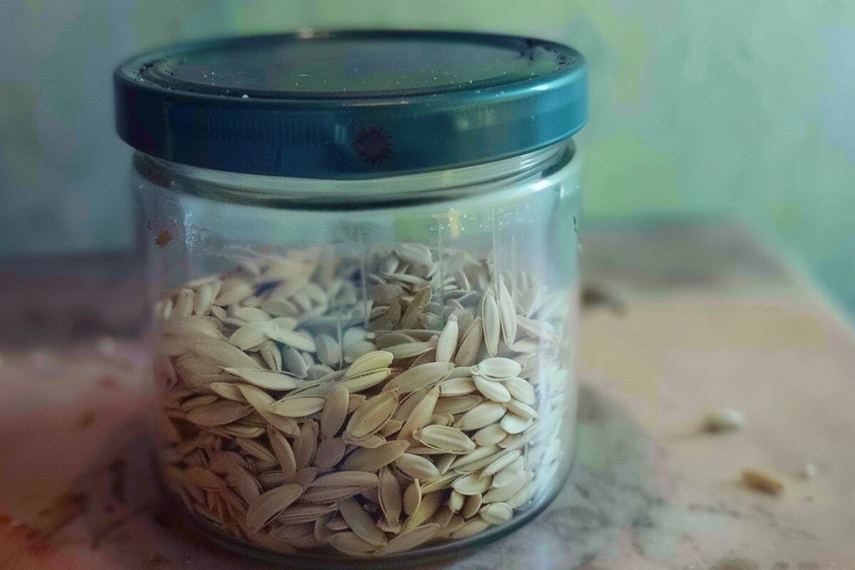 A clear glass jar with a teal lid is filled with sunflower seeds, perfect for those learning how to save seeds from cucumbers. The jar sits on a surface in front of a pale green wall, with some seeds scattered around the base.