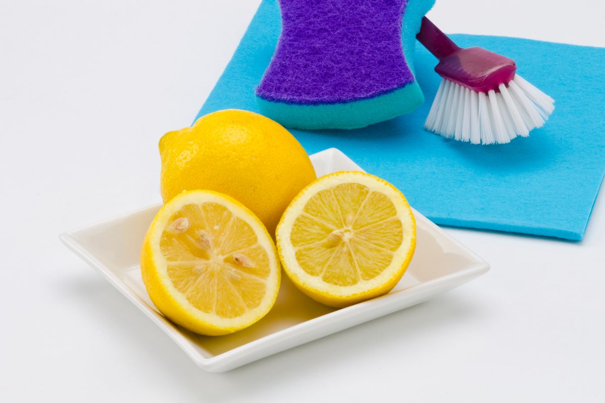 A cut lemon and a whole lemon rest on a white dish. Behind them are a purple and blue sponge, a purple-handled dish brush, and a blue cleaning cloth on a white surface.