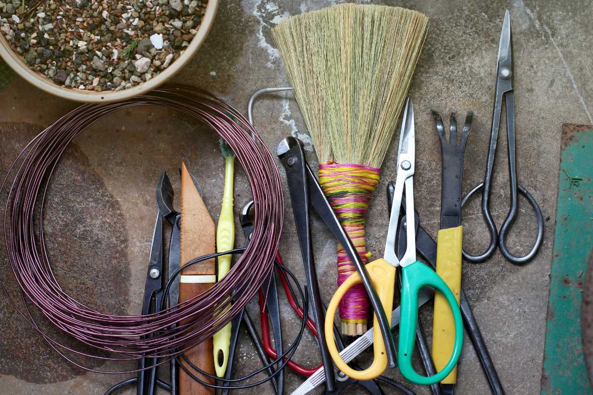 A bonsai tree kit featuring scissors, wires, a pot, and other essentials.