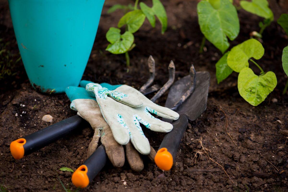 Gloves and various garden tools used on how to start an organic garden, including a trowel and a hand rake.