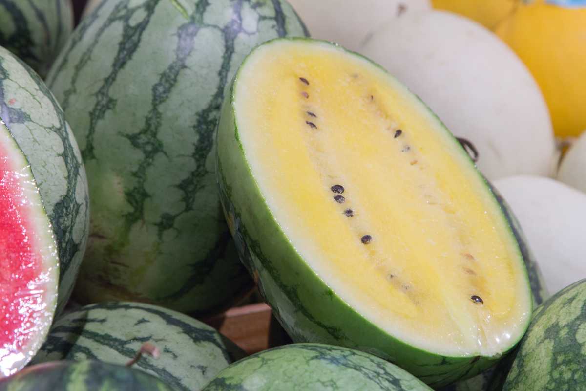 Yellow watermelon halves are displayed among whole watermelons, highlighting their thin green-striped rinds and bright yellow flesh dotted with black seeds. 